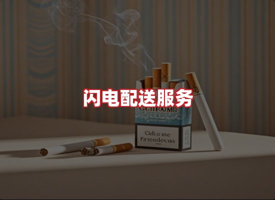 专业团队